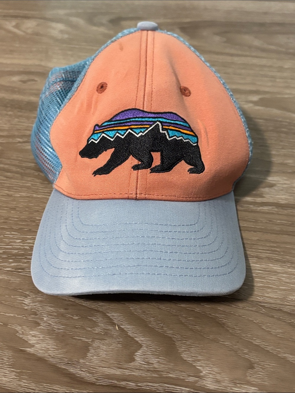 Patagonia Youth Snap Back Hat Peach and Blue Adjustable Bear Gorpcore Outdoors